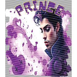 idol singer-GS  2848